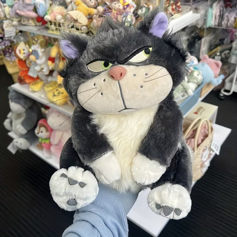 Gato Lucifer