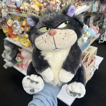Gato Lucifer